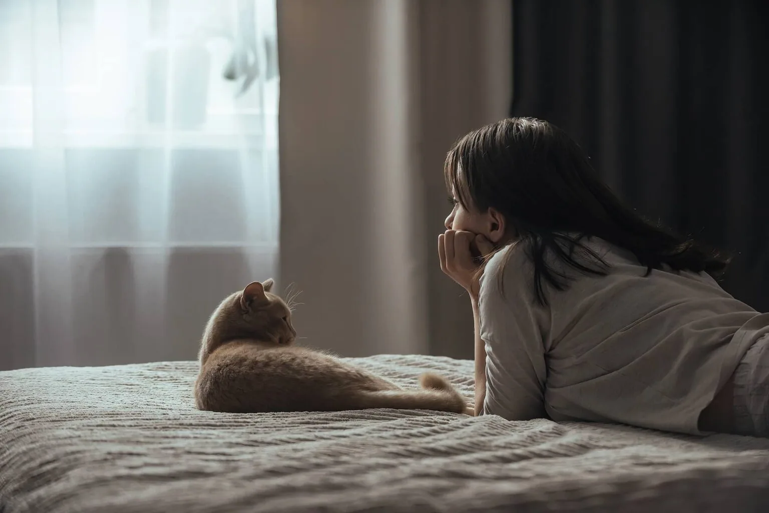 Person lying on bed face-to-face with an orange tabby cat near a window with sheer curtains